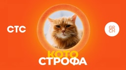 Бот с интерактивной механикой